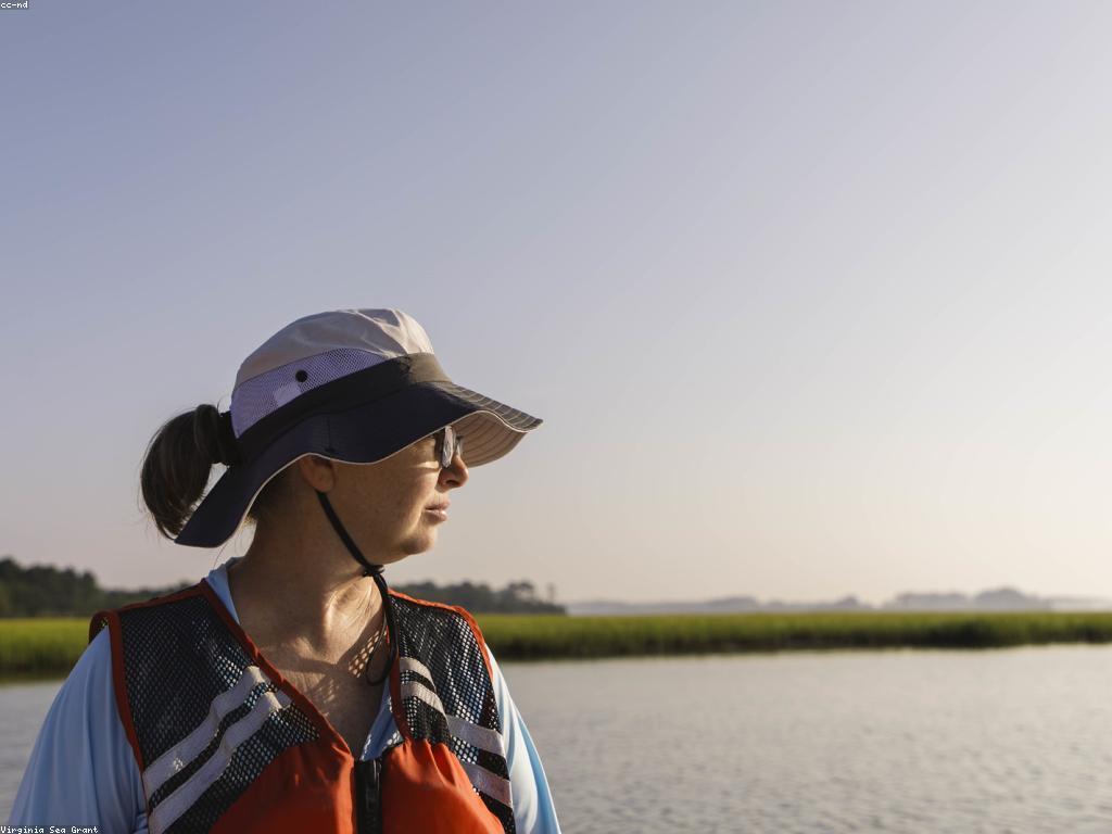 ឥទ្ធិពលនៃកម្មវិធីសាស្រាទៅលើសិចស៊ីន